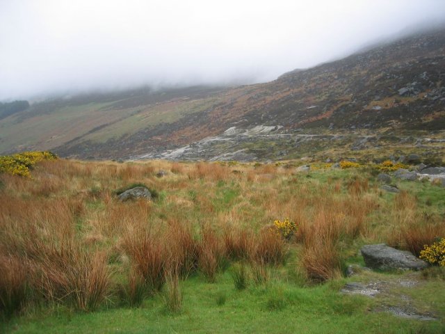 Wicklow Mountains