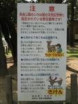 "DON'T TOUCH THE FUCKING DEER!"