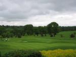 Golfing and Grazing