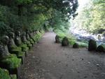 Narabi-jizo, fifty statues of Jizo, patron saint of children.