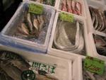 A glimpse at the selection available at Tsukiji Fish Market.