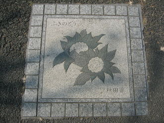 Highlight for Album: All-time grates