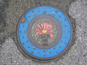Murakami cover