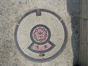 Nara deer park cover