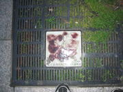 Miyajima tree grate 2