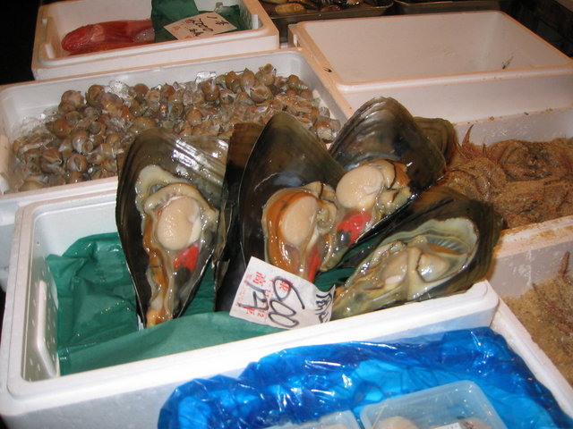 Tsukiji muscles