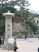 Roots
