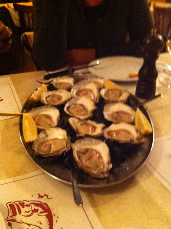 Zeeland oysters