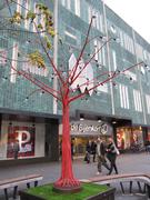 Pear tree