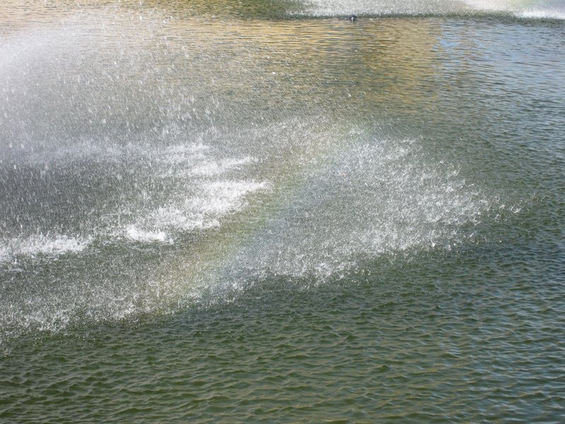 In rainbows