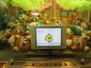 LCD