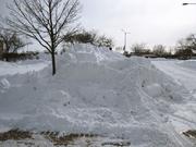 IMG_1173.JPG